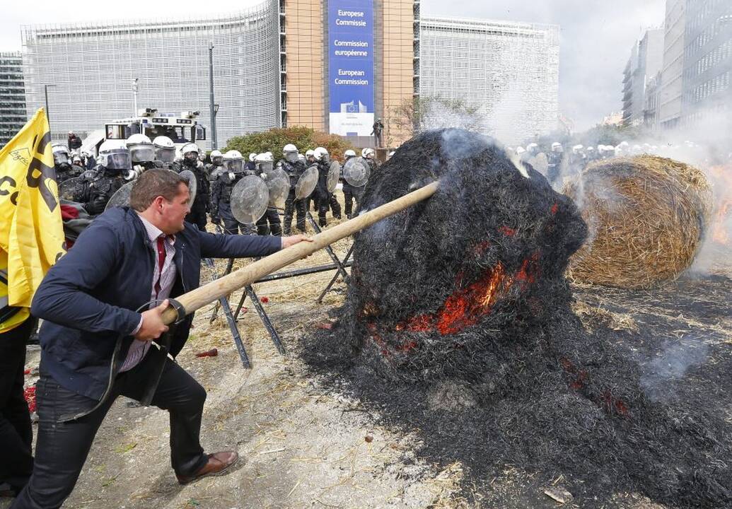 Briuselyje protestavo žemdirbiai