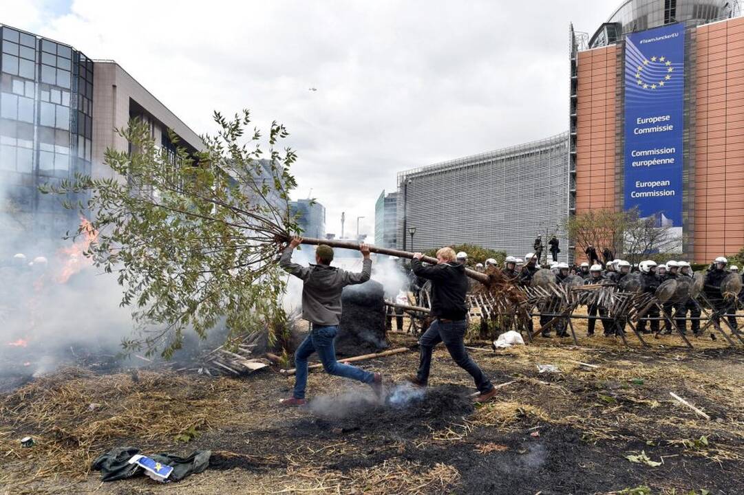 Briuselyje protestavo žemdirbiai