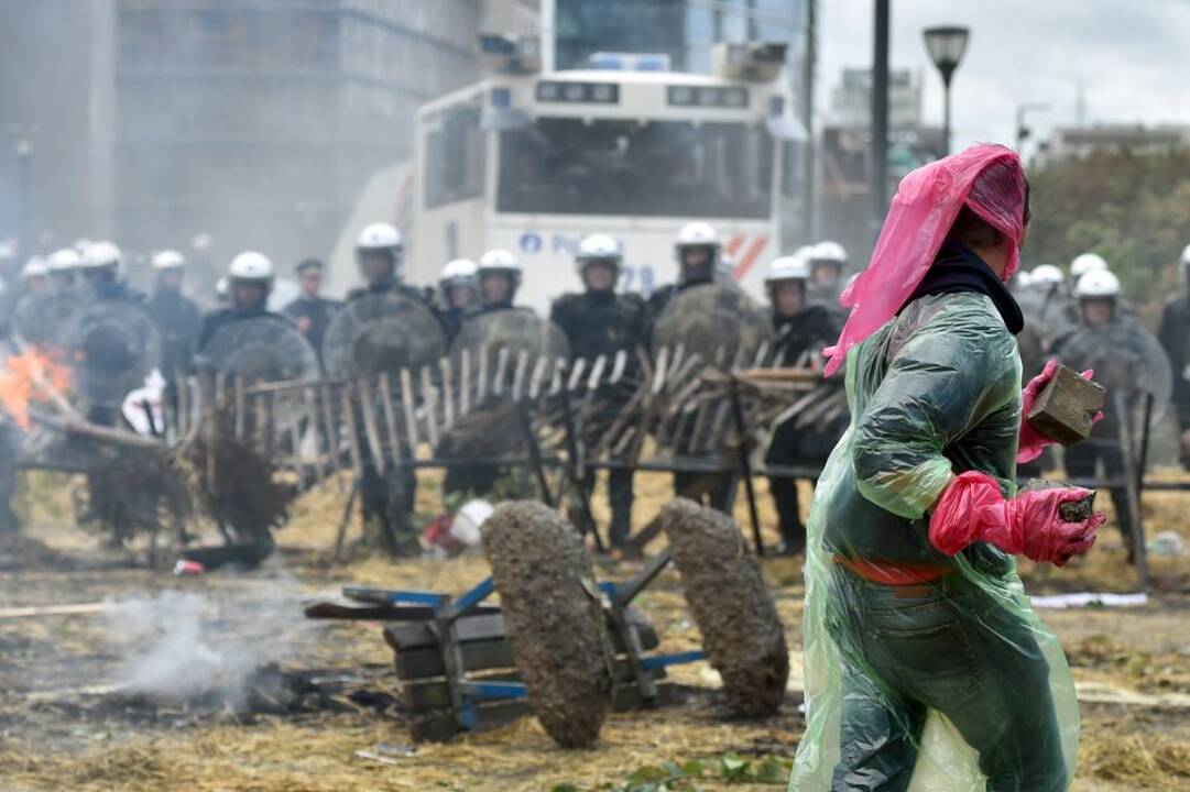 Briuselyje protestavo žemdirbiai