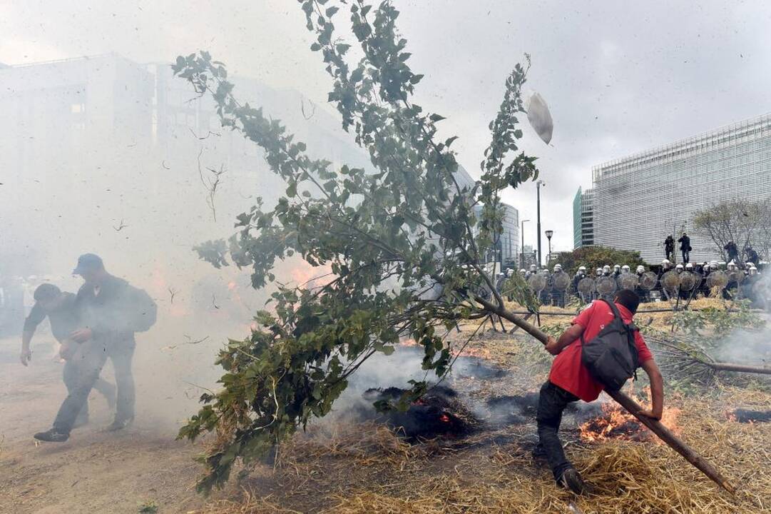 Briuselyje protestavo žemdirbiai