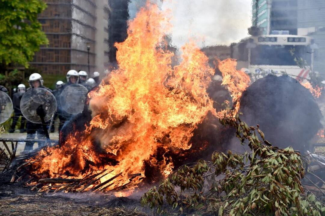 Briuselyje protestavo žemdirbiai