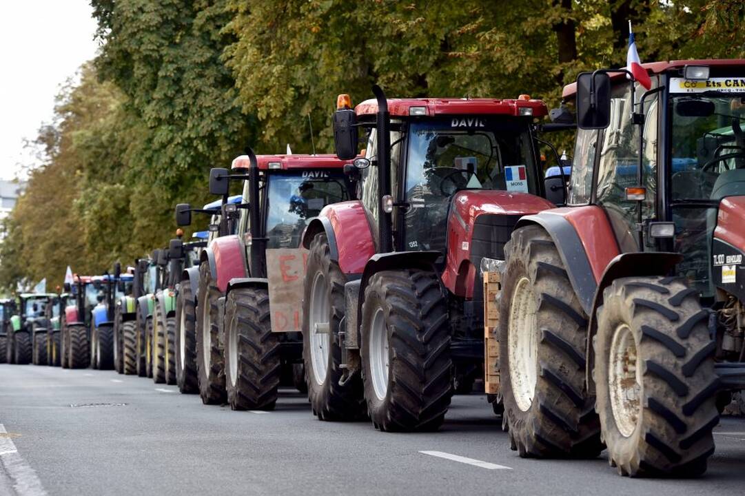 Briuselyje protestavo žemdirbiai