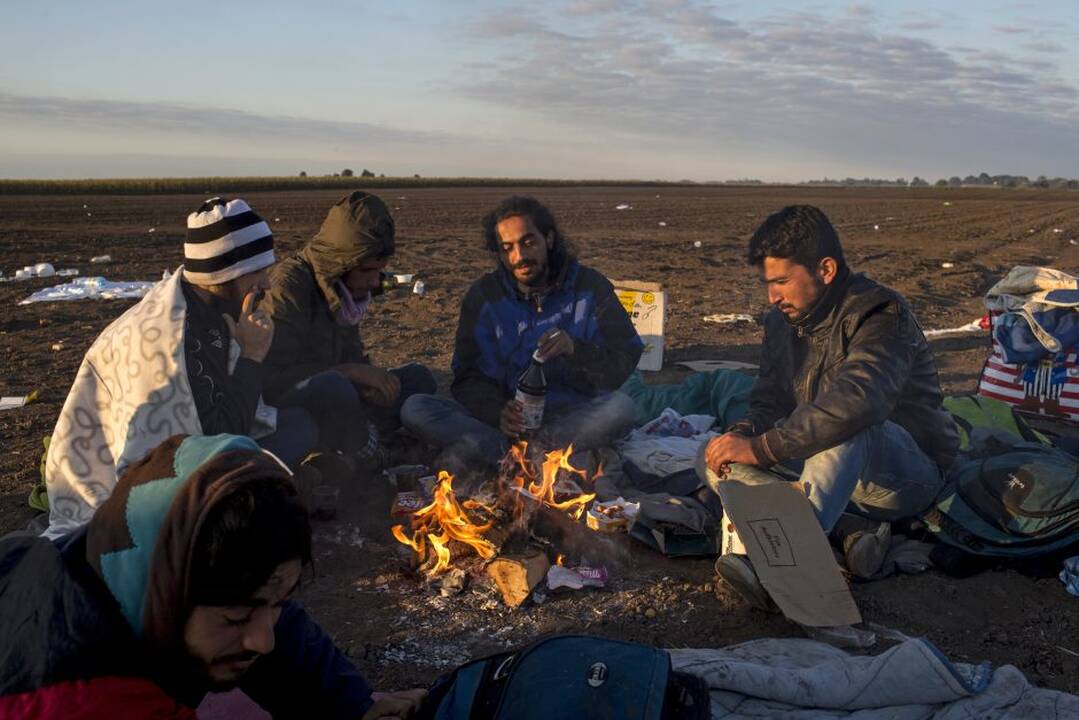 Vengrijoje šimtai migrantų pralaužė policijos užtvaras