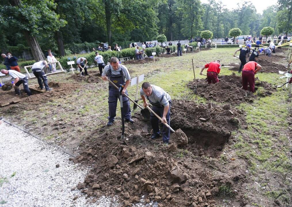 Duobkasių varžybos Vengrijoje
