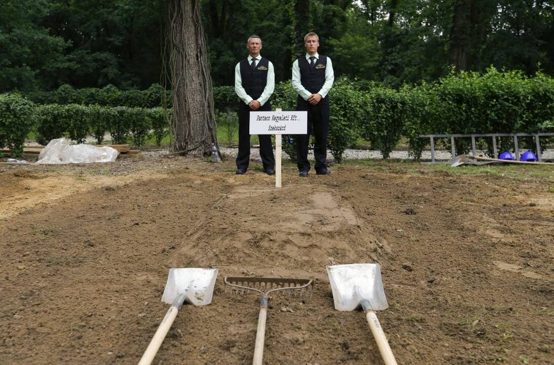 Duobkasių varžybos Vengrijoje