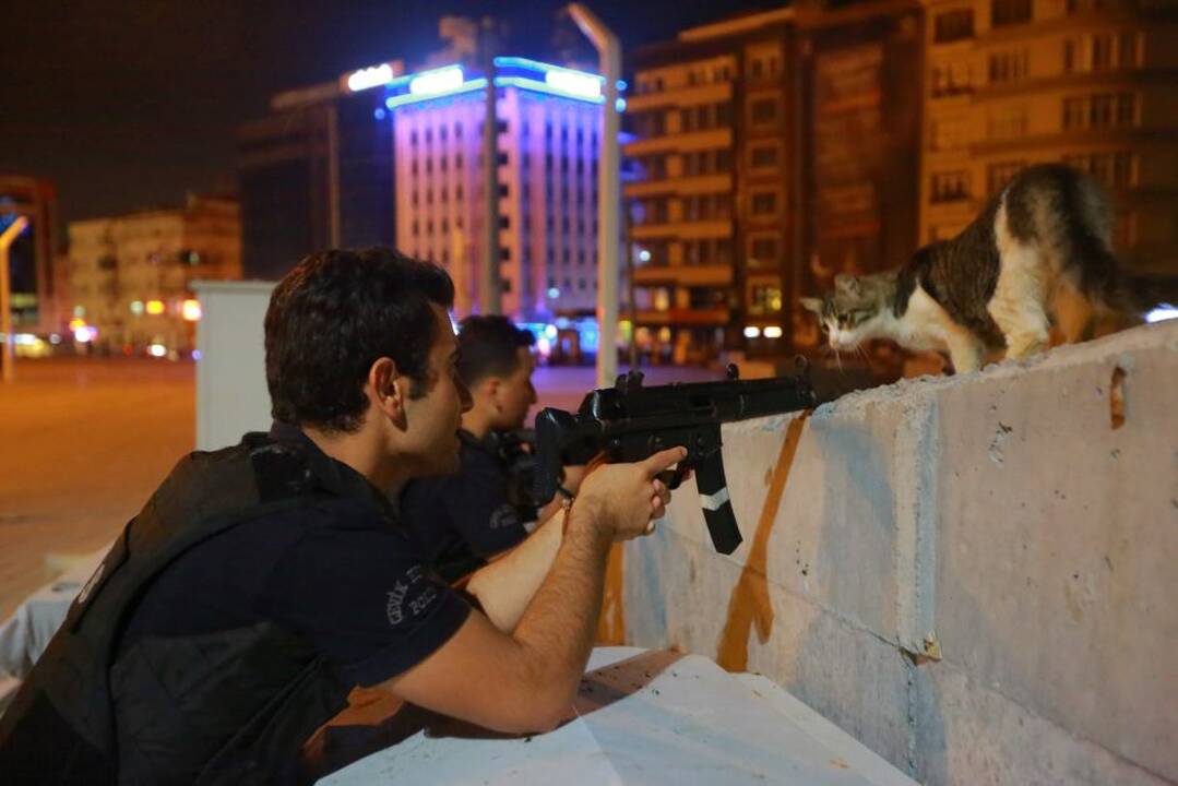 Karinis perversmas Turkijoje