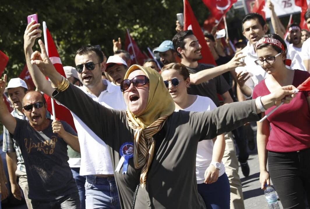 Karinis perversmas Turkijoje
