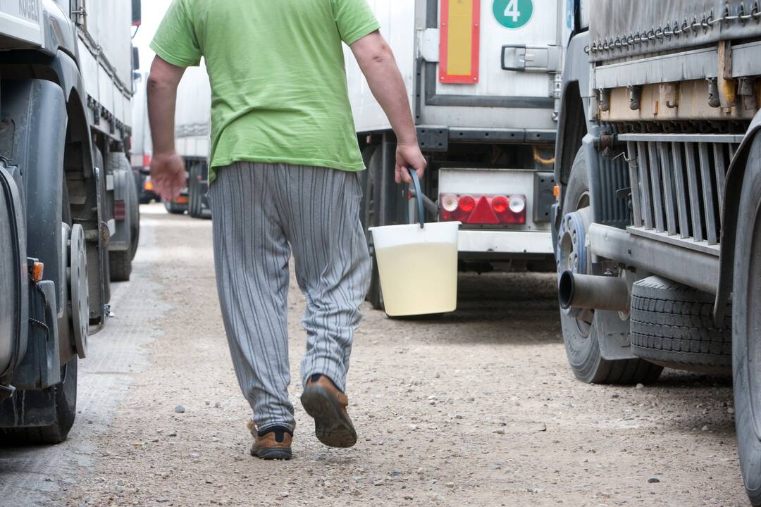 Konsulas: Karaliaučių kroviniai jau pasiekia kaip įprasta