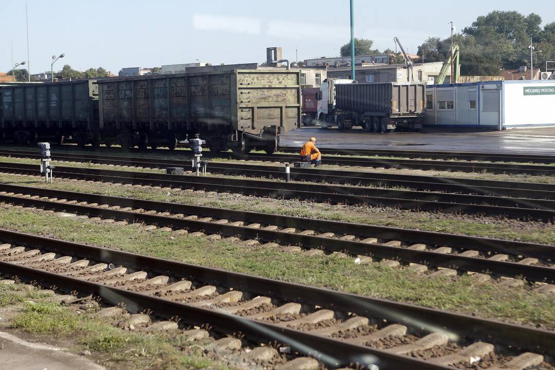 Klasco: dulkių audros bus suvaldytos