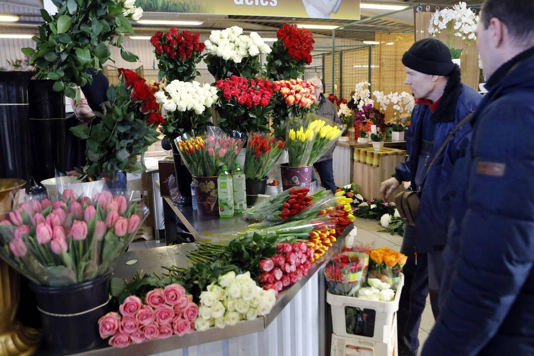 Uostamiesčio moterims – tulpių žiedai