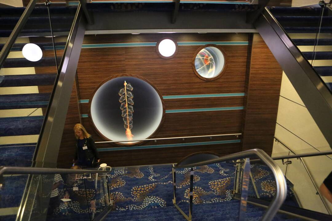 Kruizinis laivas "Mein Schiff 5" 