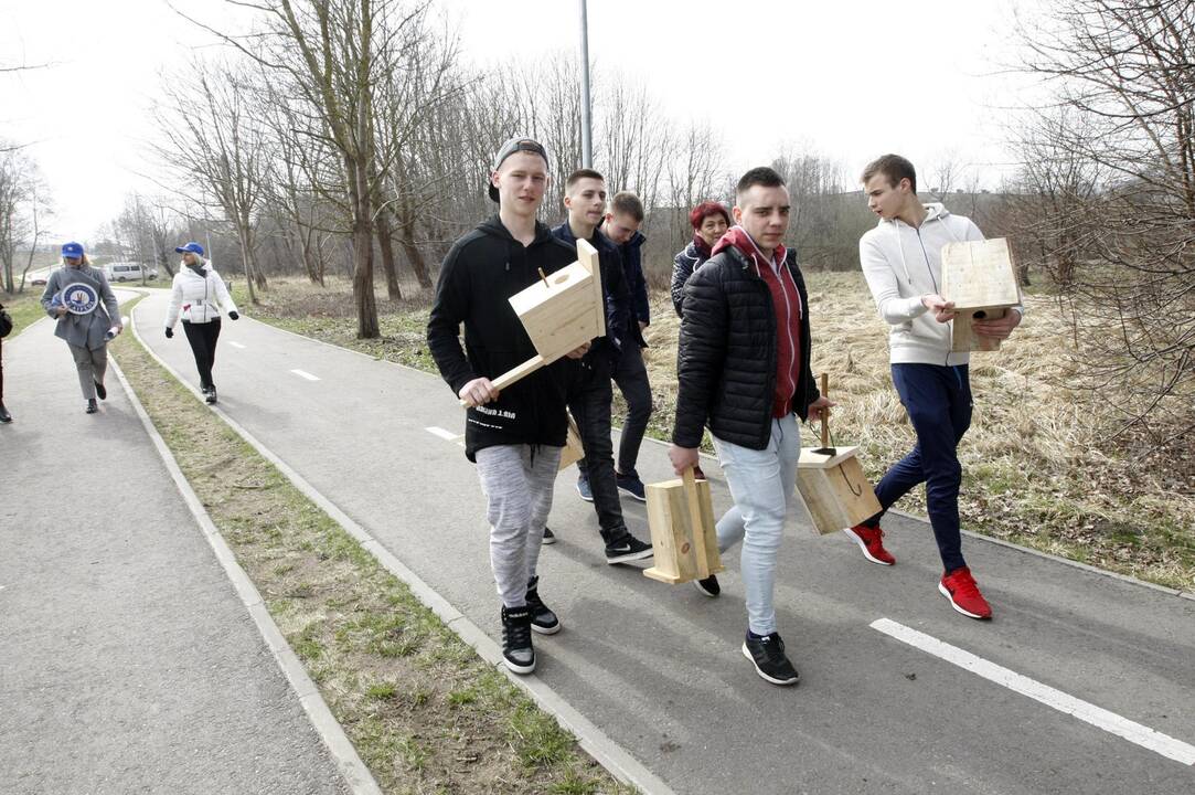 Klaipėdiečiai grąžina skolą gamtai