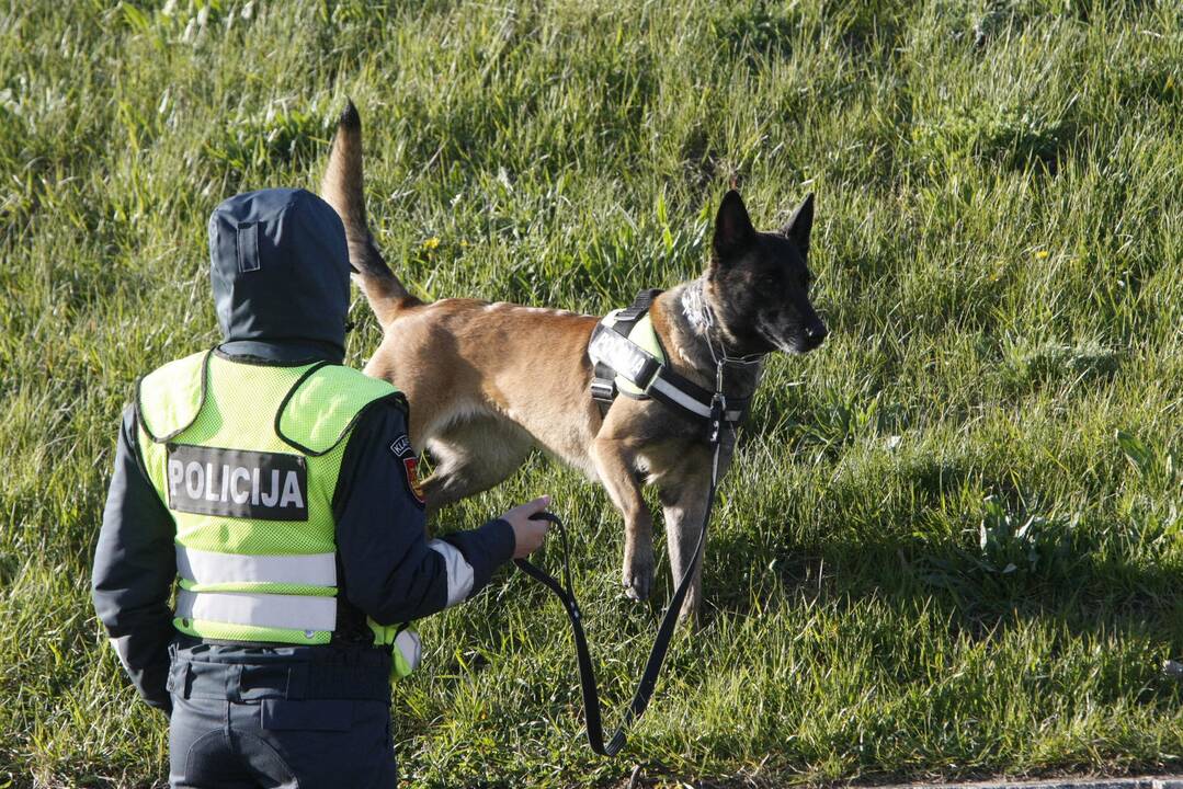 A lyga: "Atlantas" – "Kauno Žalgiris"