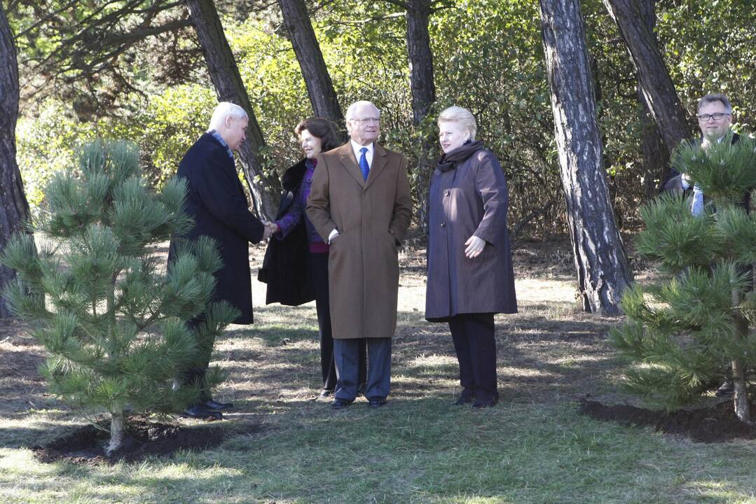 Švedijos karaliams - unikalus Lietuvos pajūrio grožis