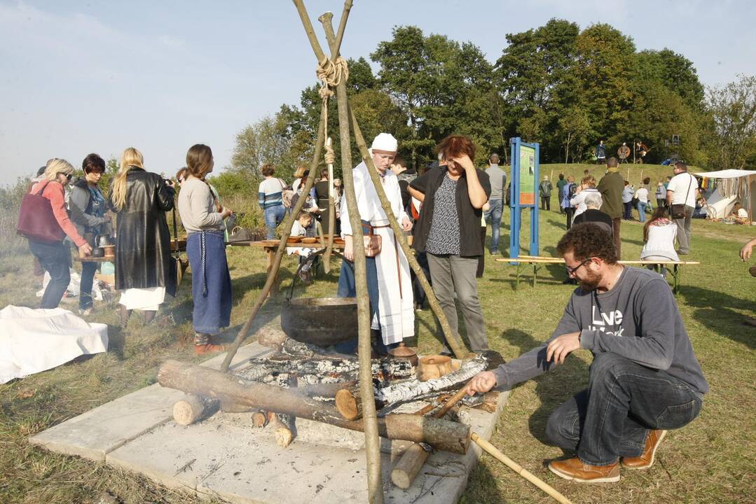 Žardės piliakalnis