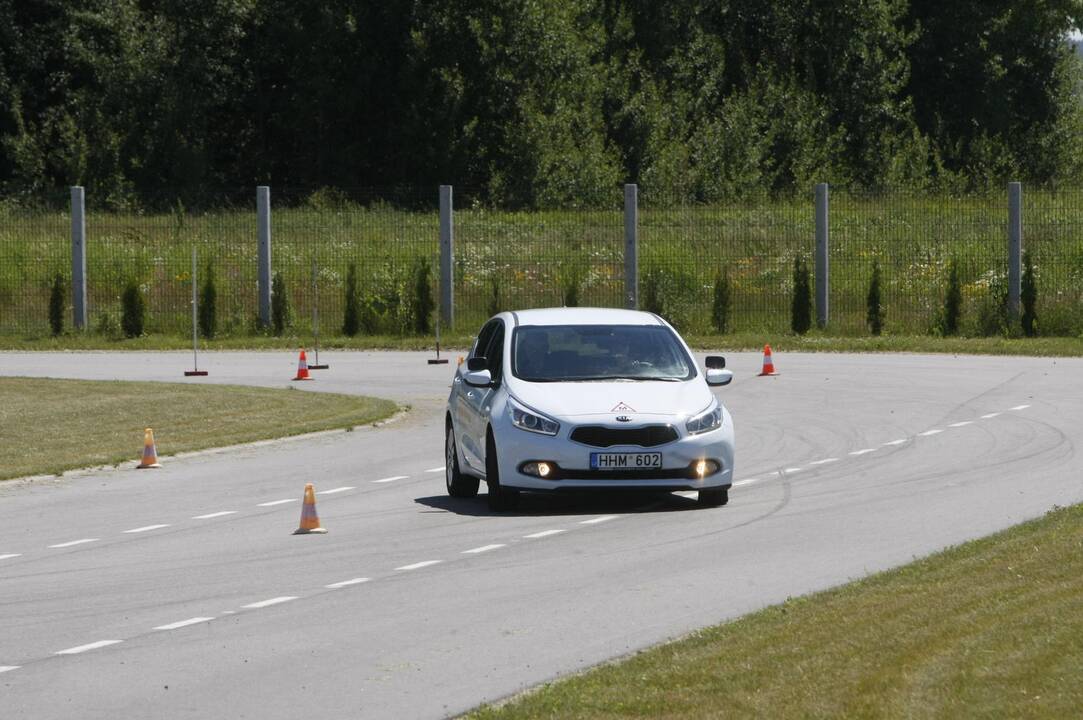 Autodrome - pajūrio verslininkų viražai