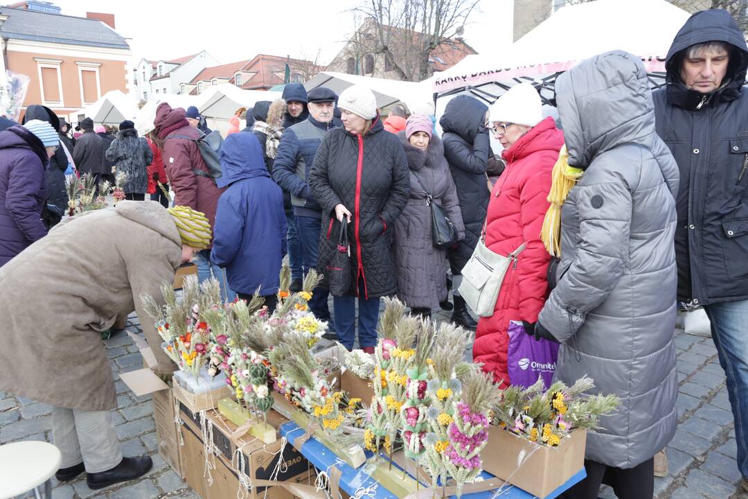 Kaziuko mugė Klaipėdoje