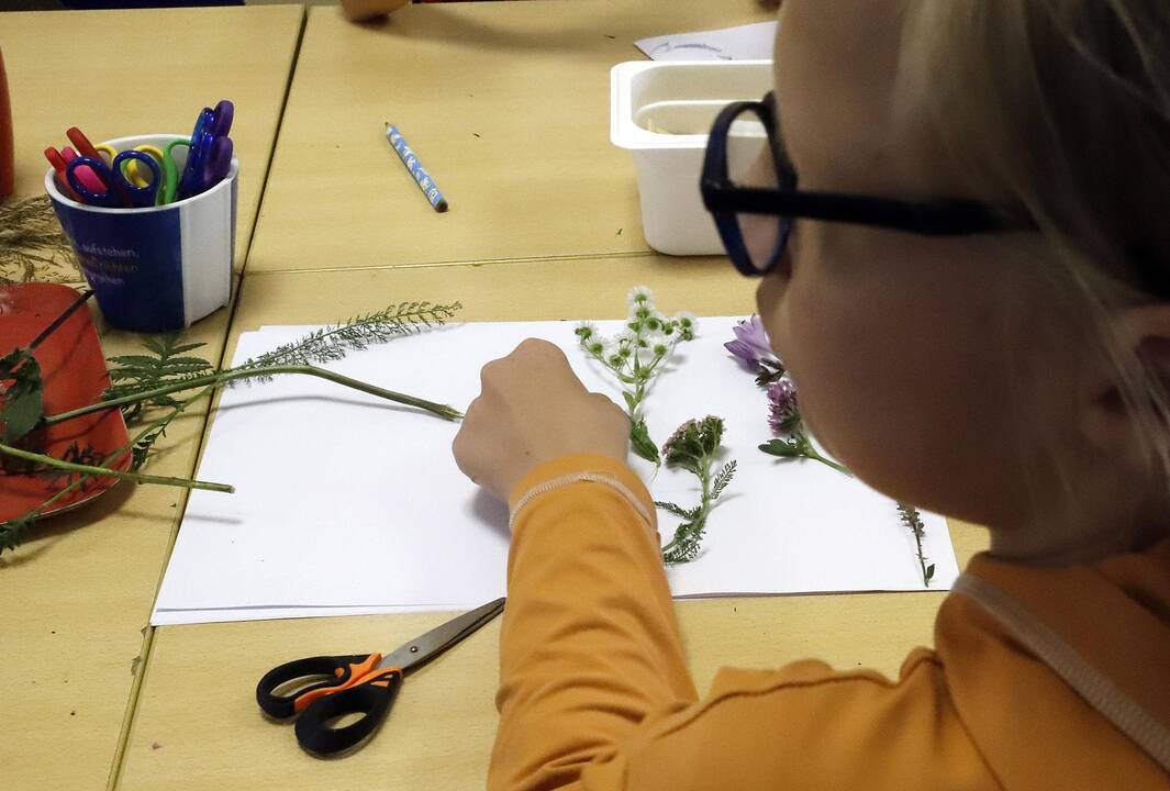 Fotodirbtuvės Garliavoje