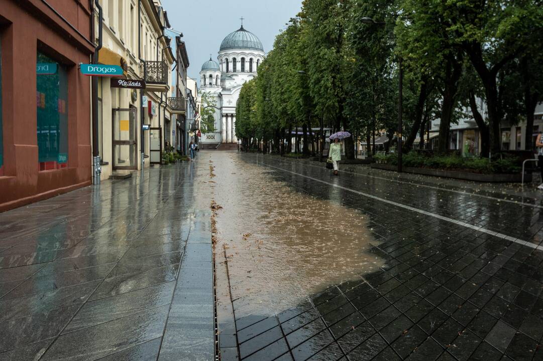 #KaunasSkęsta