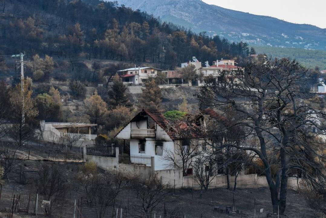 Premjeras: Graikijoje šią vasarą kilę gaisrai išdegins mažiausiai 150 tūkst. hektarų plotą