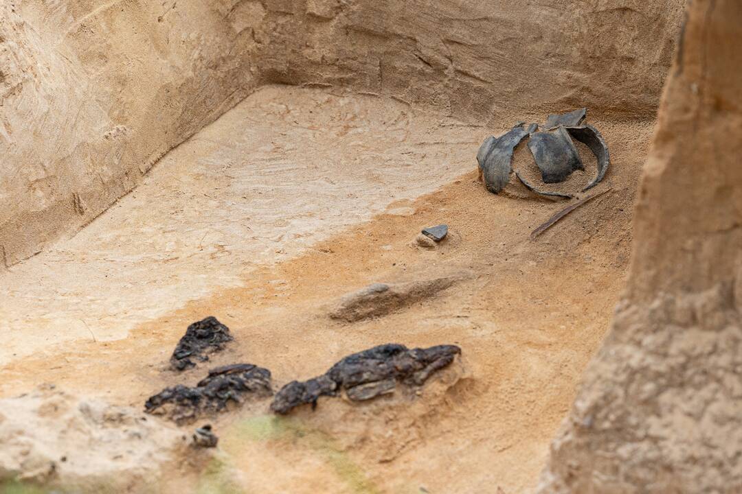 Verkių dvarvietėje pristatomas archeologinis atradimas