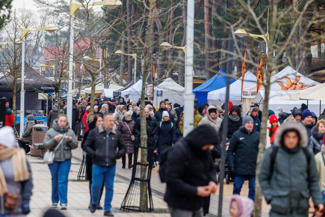 Festivalis „Palangos stinta“ 2025