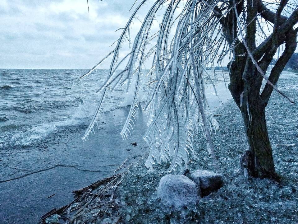 Kūryba: nukritus oro temperatūrai, vyraujant smarkiam vėjui ir besitaškant Kuršių marių vandeniui, atsirado štai tokie įspūdingi ledo kūriniai.