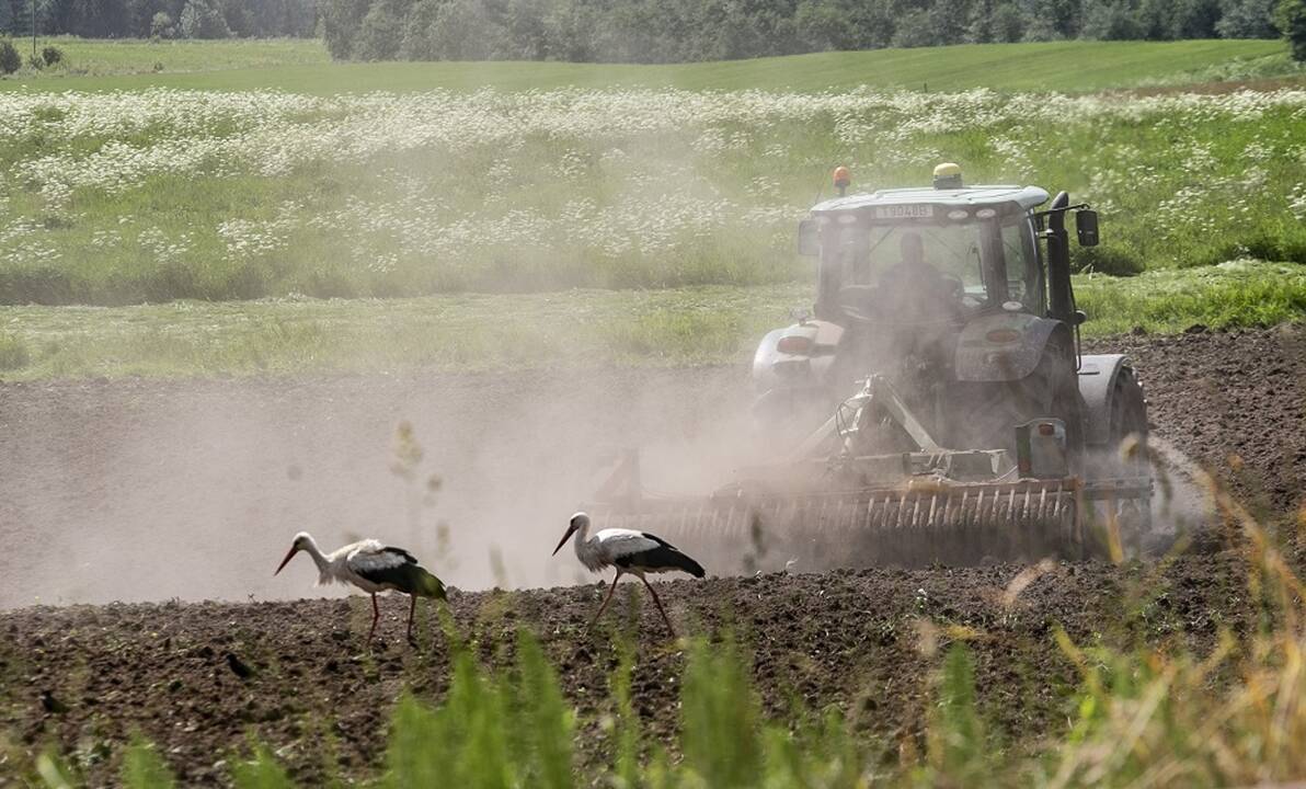 Šeimos ūkininkai siūlo griežčiau riboti žemės įsigijimą, ES tiesiogines išmokas