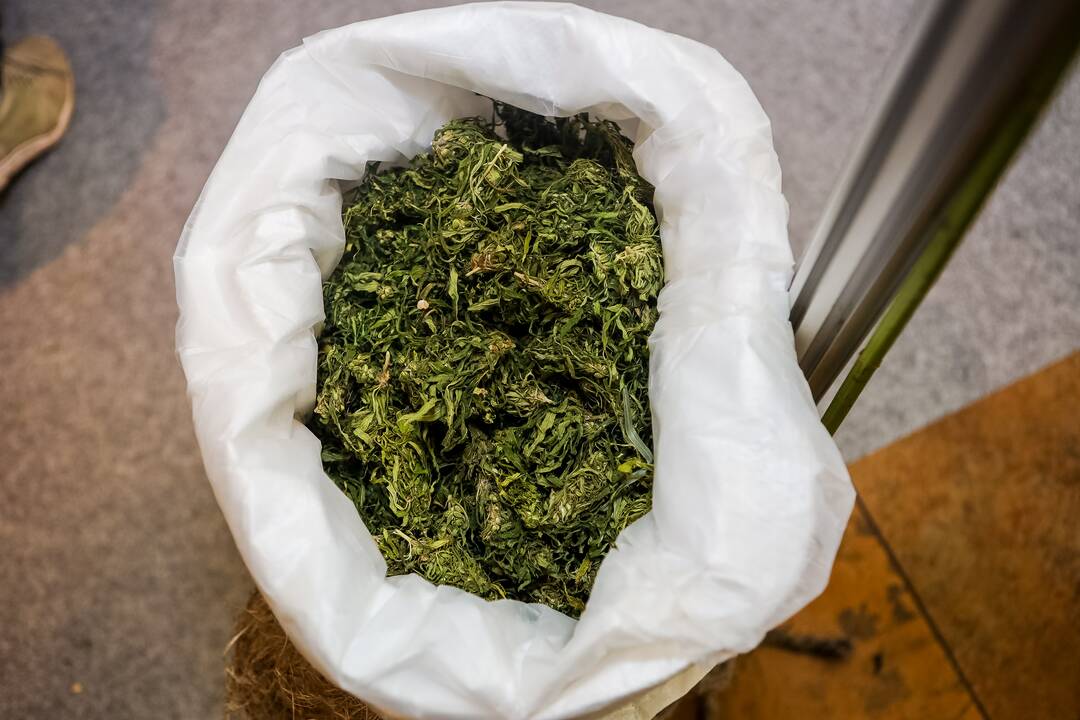 „Cannabis Hub.LT 2022“ paroda