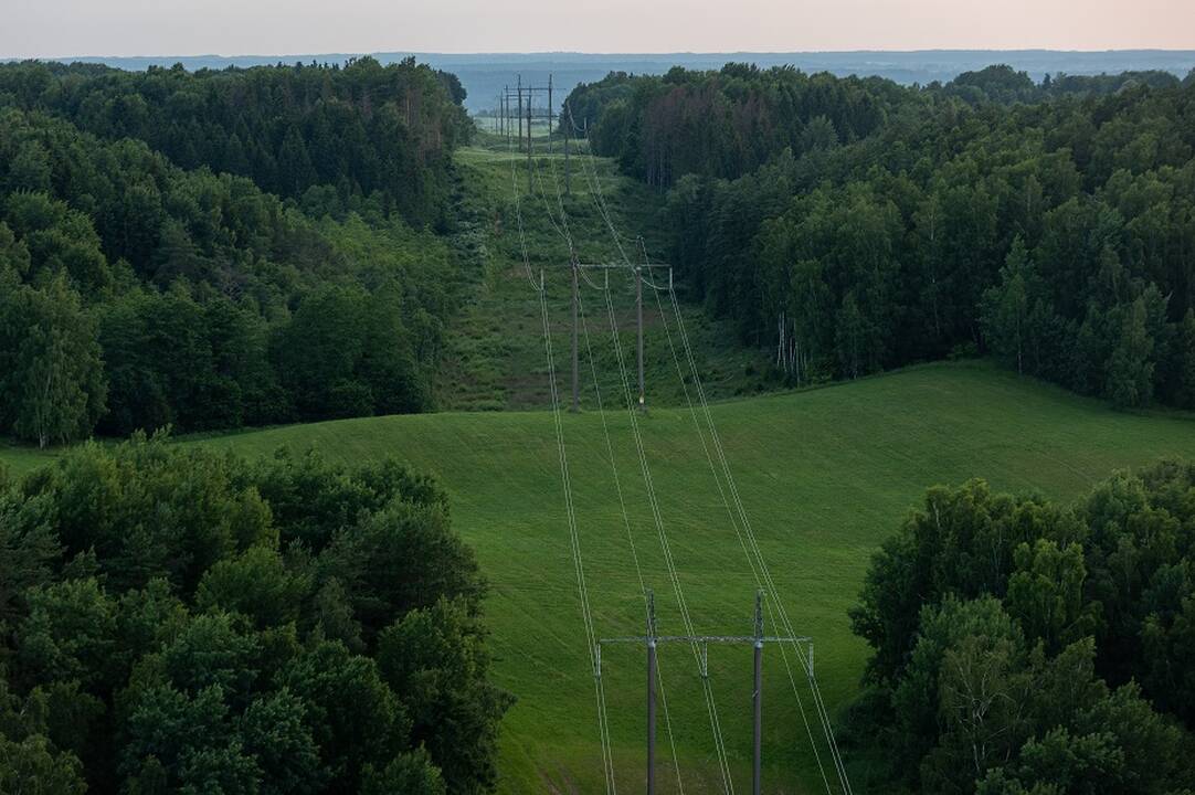 Lietuva apsisprendė: pasitraukė iš šios chartijos sutarties