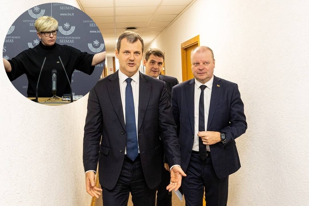 Dėl ministerijų miestelio – karštos diskusijos: Paluckas nori parduoti, Skvernelis abejoja