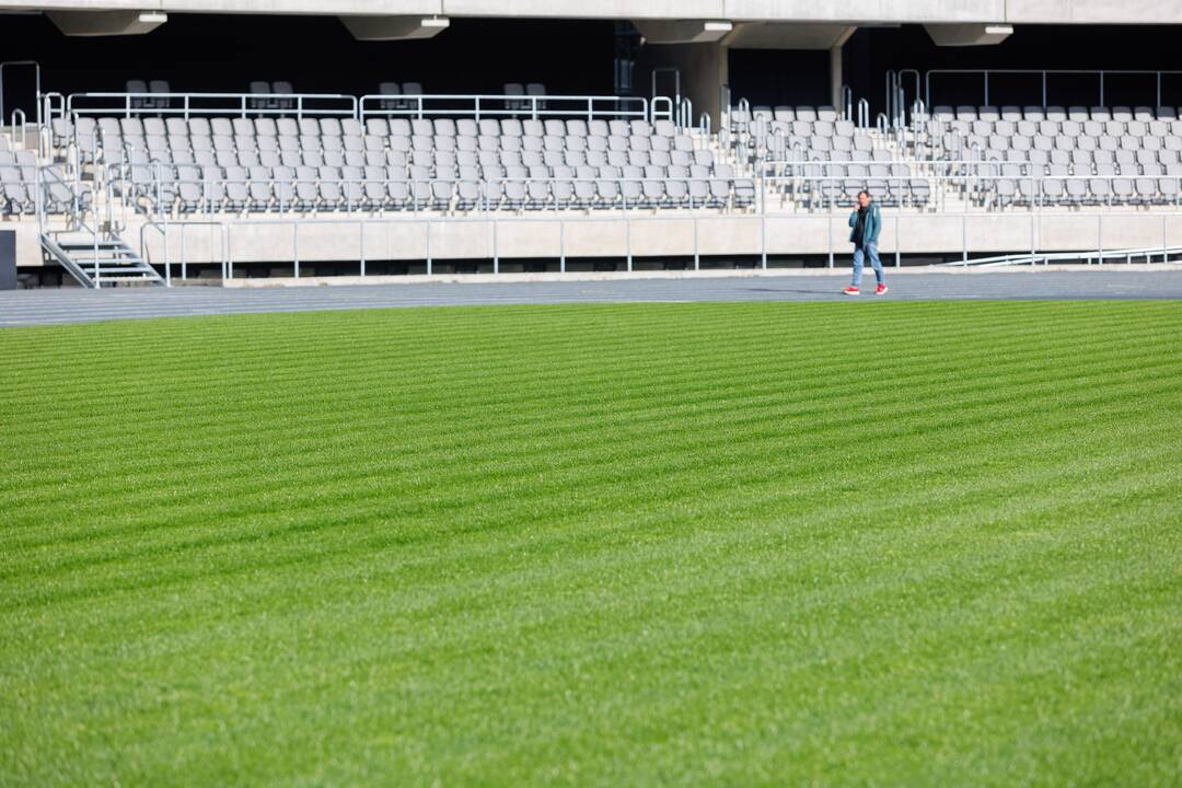 Dariaus ir Girėno stadionas