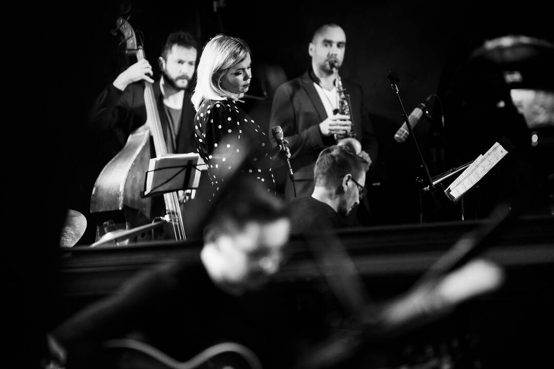 The Schwings band