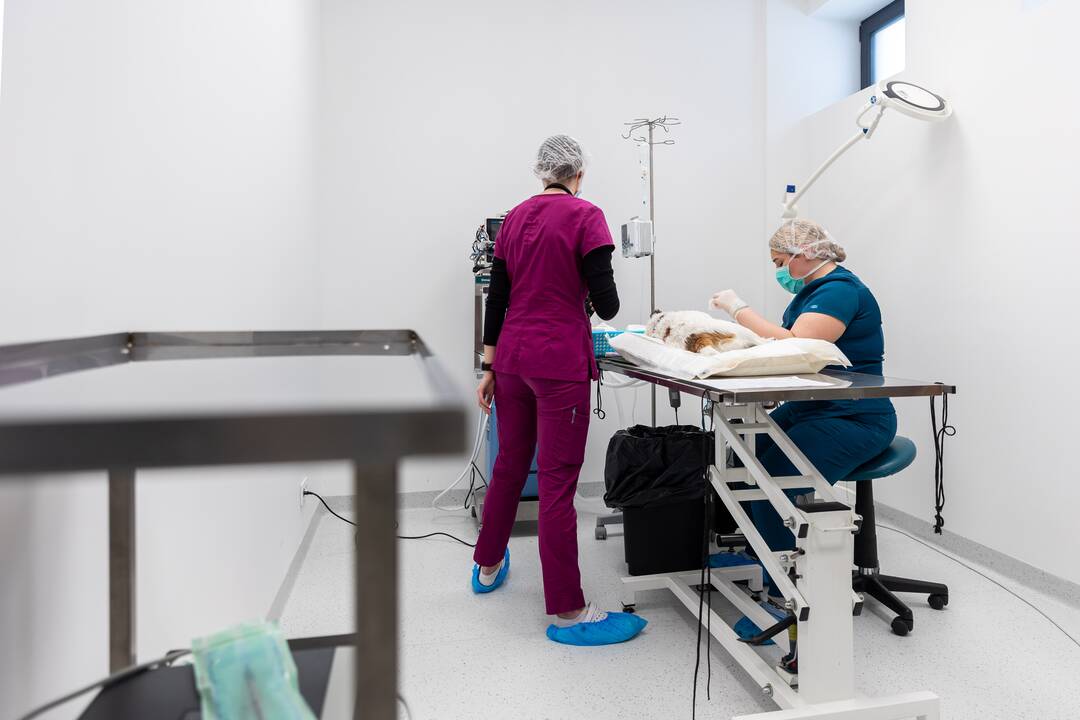 Vilniuje atidarytas didžiausias gyvūnų gydymo kompleksas