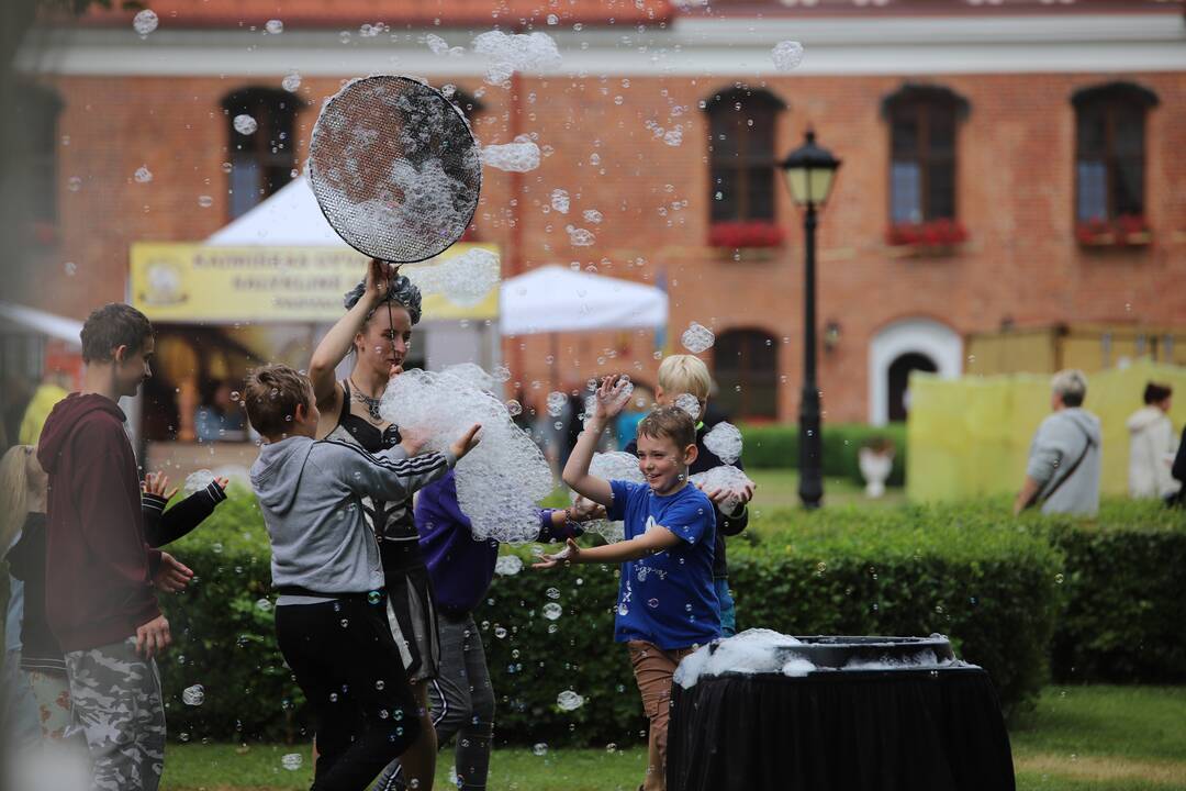 Zapyškis: paskutinį pavasario šeštadienį čia džiaugtis bendryste kvies tradicinis aitvarų festivalis „Tarp žemės ir dangaus“.