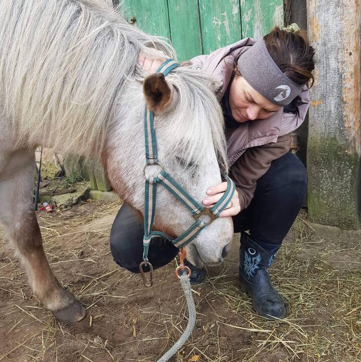 Trijulė:  „Equus Sanus“ šiuo metu vienija tris veterinares – žirgų gydytojas: (iš kairės) G. Vokietytę-Vilieniškę, I. Poškienę ir G. Babarskaitę.