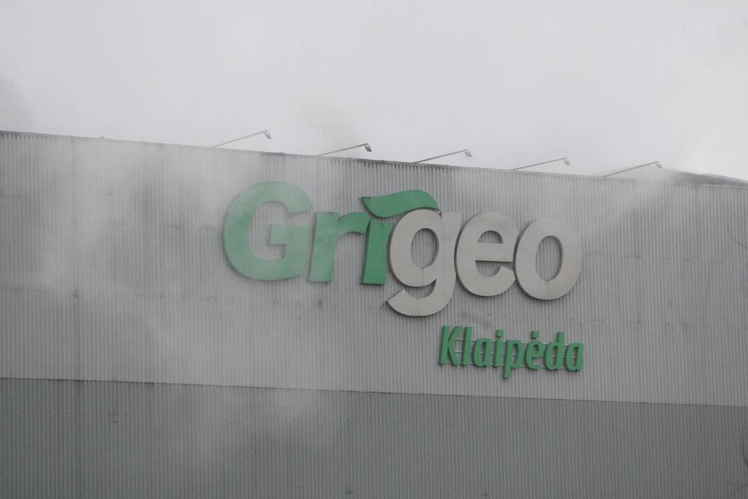Skandalo epicentre atsidūrusi „Grigeo“: į ką buvo investuota pusė milijono?