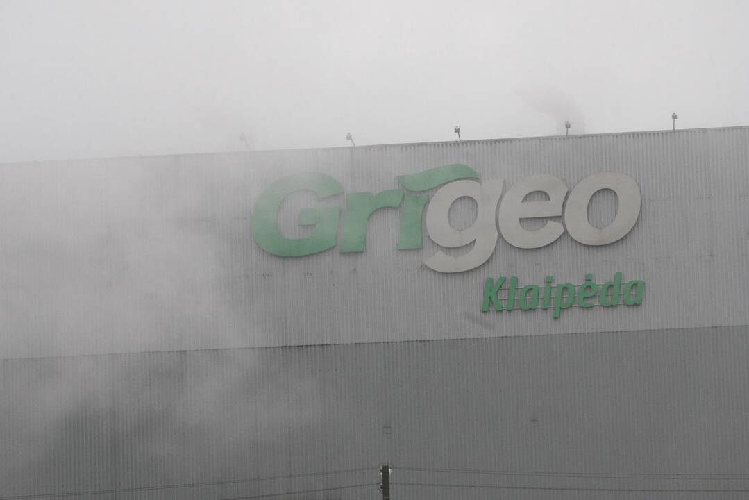 Aplinkosaugininkai pradės bendrovės „Grigeo Klaipėda“ patikrinimą