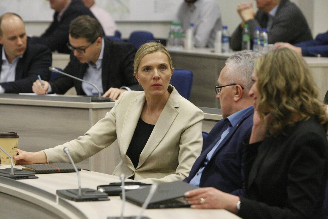 Posėdis: penktadienį Seimos aplinkos apsaugos komiteto nariai narpliojo „Grigeo“ skandalą.