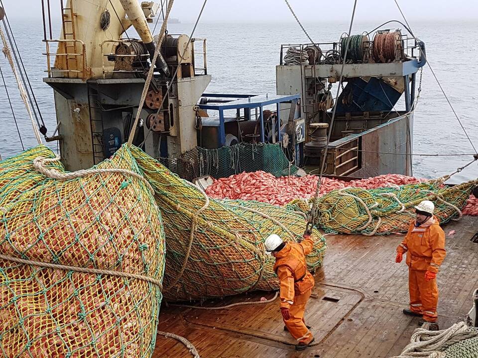 Reidas: prie žvejų laivo Baltijoje priplaukęs tikrintojų laivas.