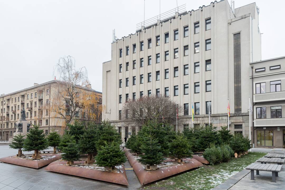 Savivaldybės prieigas papuošė eglutės