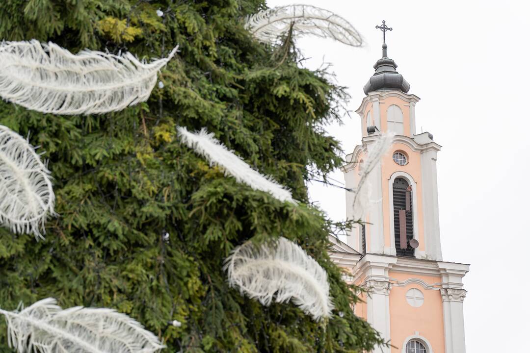 Pristatyta Kauno kalėdinė eglutė 