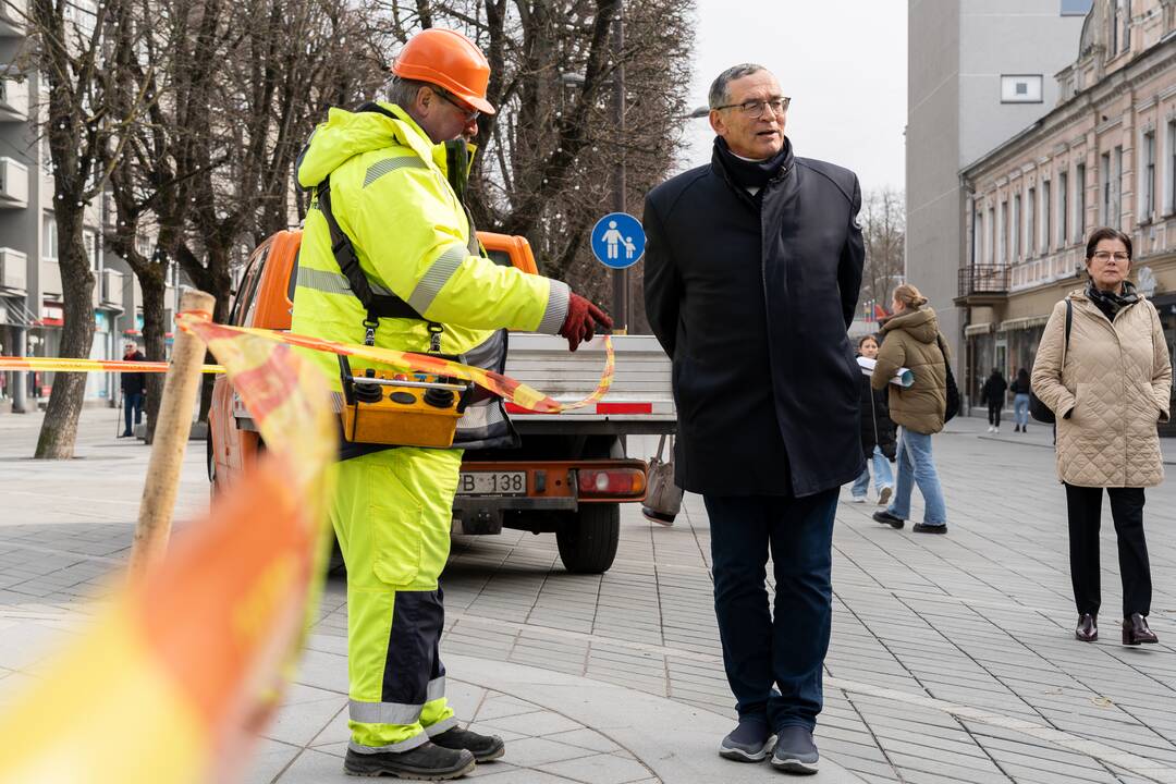 Laisvės alėjoje sodinamos liepos