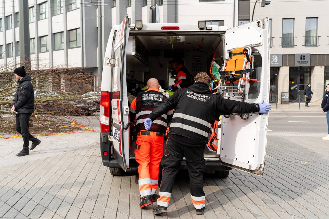 Laisvės alėjoje ant darbininko nuvirto liepa