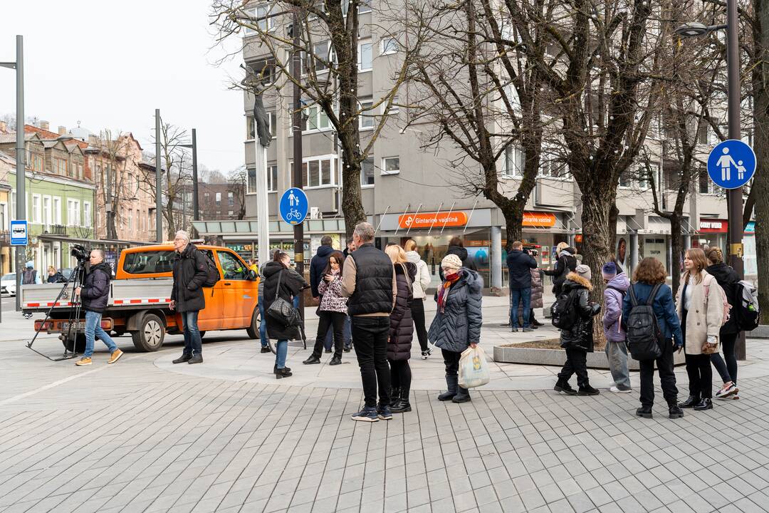Laisvės alėjoje ant darbininko nuvirto liepa