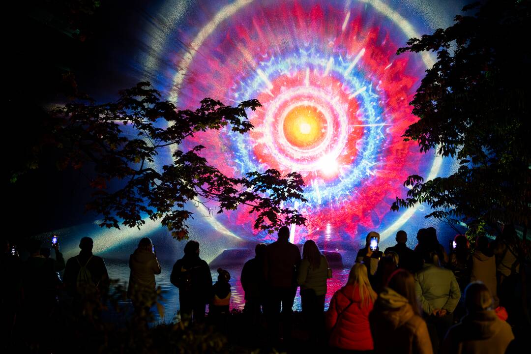 Botaninės naktys - FINALINĖ festivalio diena