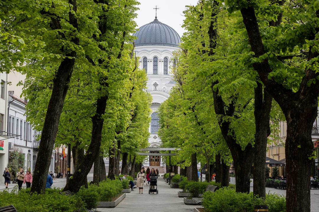Kauniečių diena (2025-04-30)
