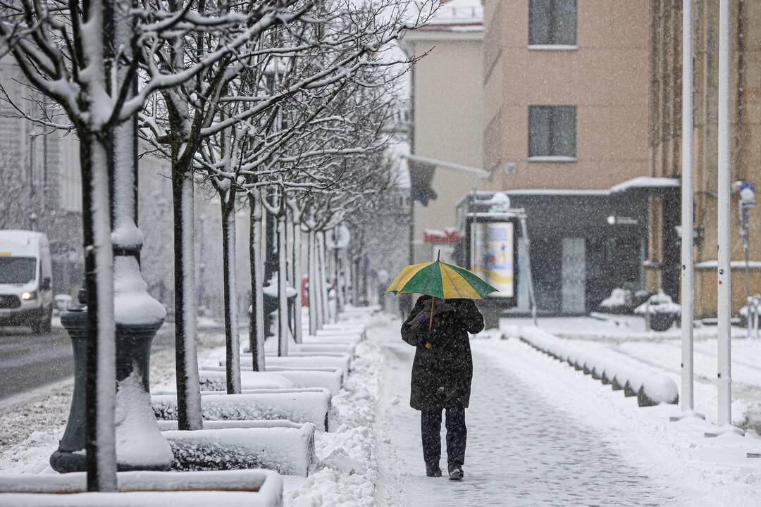 Gausus sniegas užklojo Vilnių