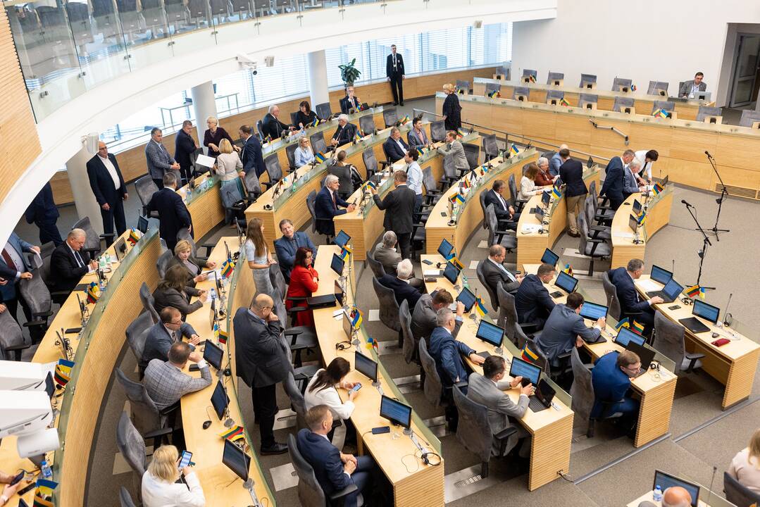 Parlamentarai įteisino bendruomenių mecenatus, išplėtė mecenavimo sritis