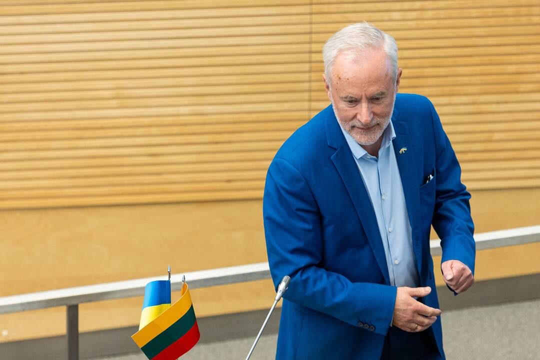 Ukrainos Rados vicepirmininkės kalba Seime